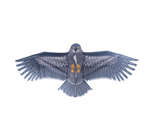 Eagle Bird-Shaped Kite with Rope Handle 150 x 70cm