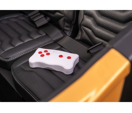 Arctic Cat WILDCAT XX 24V14AH Gold Buggy Battery Vehicle