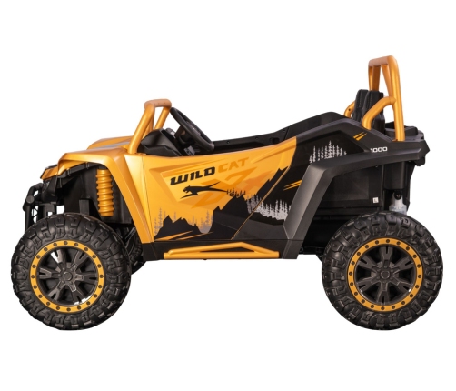 Arctic Cat WILDCAT XX 24V14AH Gold Buggy Battery Vehicle