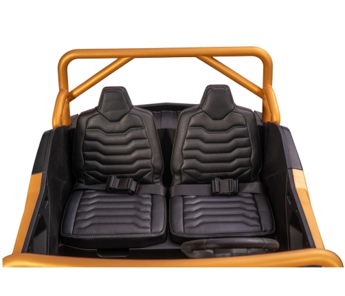 Arctic Cat WILDCAT XX 24V14AH Gold Buggy Battery Vehicle