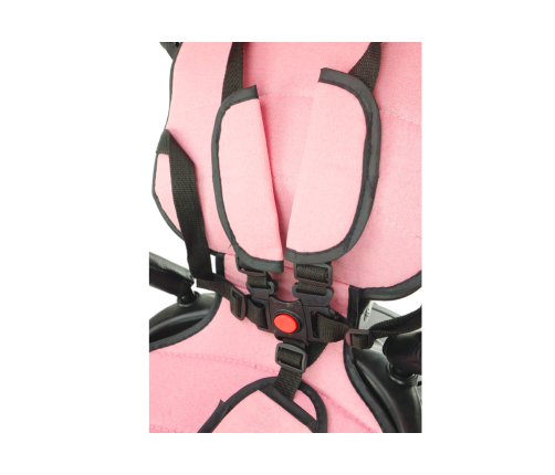 Трёхколёсный велосипед PRO550 Pink