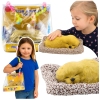 Sleeping Labrador on a Pillow Figurine with Fur Transparent Bag Sounds