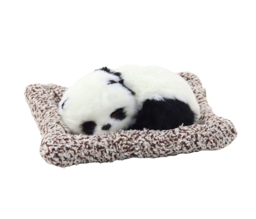 Sleeping Panda on a Pillow Figurine with Fur and Transparent Bag