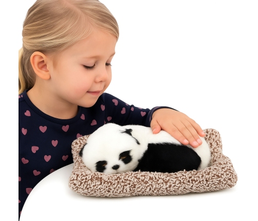 Sleeping Panda on a Pillow Figurine with Fur and Transparent Bag