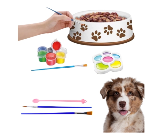 Creative Set Dog Bowl For Painting Paints Brushes DIY 6 pcs.