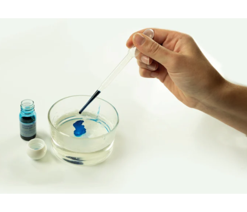 Scientific Fun Marine Soaps Kit Clementoni 50709