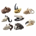 Archaeology Excavation Set Skulls Bones Tools Accessories