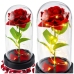 Eternal Rose in Glass Dome LED Lighting Red 21.5 x 11 cm