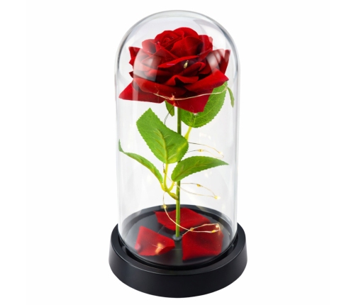 Eternal Rose in Glass Dome LED Lighting Red 21.5 x 11 cm