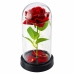 Eternal Rose in Glass Dome LED Lighting Red 21.5 x 11 cm