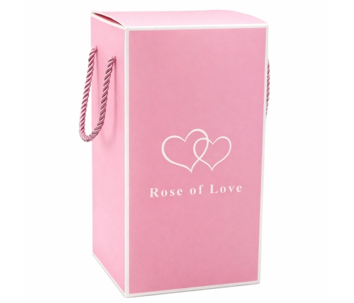 Eternal Rose in a Glass Dome LED Crystal Lighting 21.5 x 11 cm