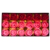 Flower Box Eternal Fragrant Roses Flowers in a Box Pink Red 18 pcs.