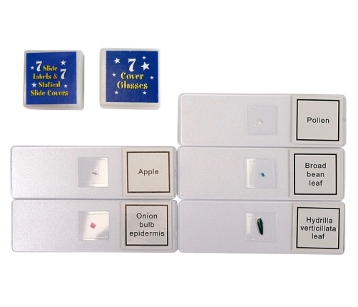 Children's Microscope in a Carrying Case Educational Scientist 28 Elements 300x 600x 1200x