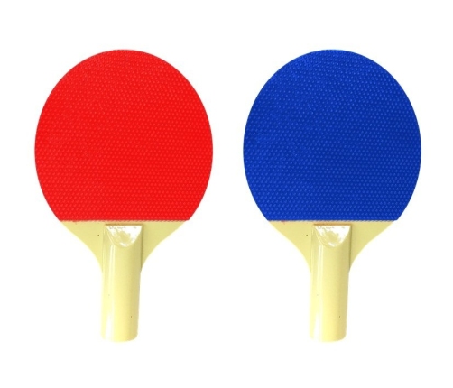Set for table tennis Rackets Net Balls
