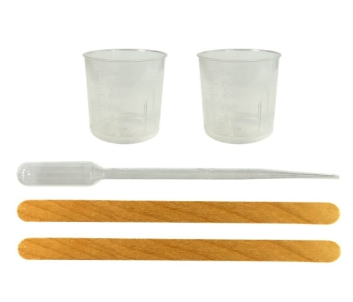 Prehistory Creative Set Create Amber Insects