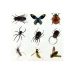 Prehistory Creative Set Create Amber Insects