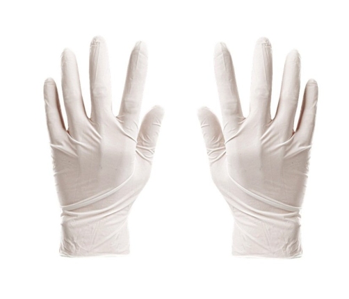 Prehistory Creative Set Create Amber Insects