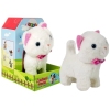Interactive Cat White Walks and Sings Sound Interactive Cat White Walks and Sings Sound