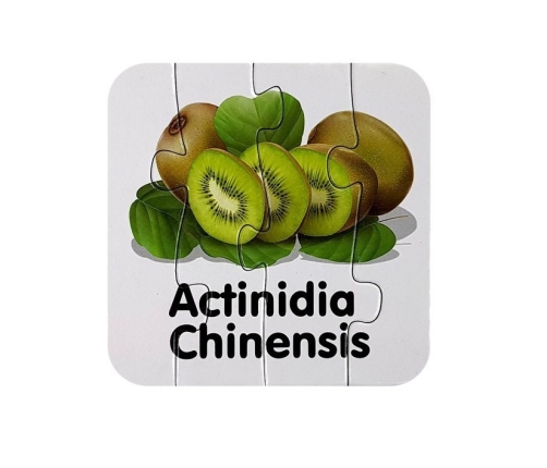 Educational Puzzle Fruit Jigsaw Puzzle 10 Connections