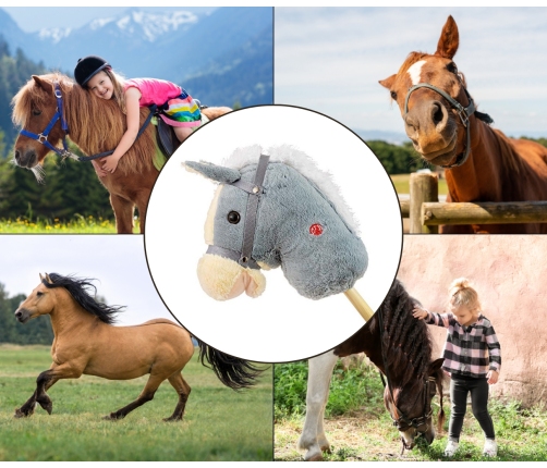 Hobby Koń na Kiju Grey