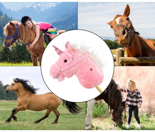 Hobby Koń na Kiju Pink