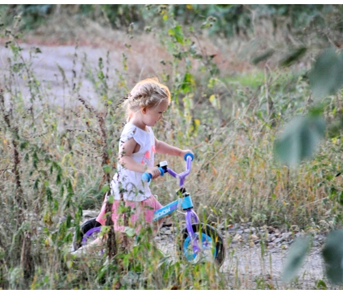 Milly Mally Walking Bike Dragon Air Pink