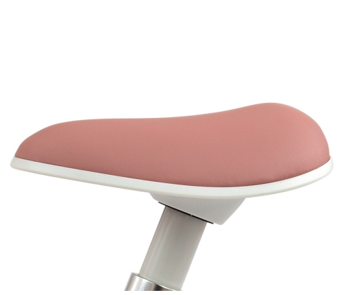 Rowerek Biegowy Skippy Pink