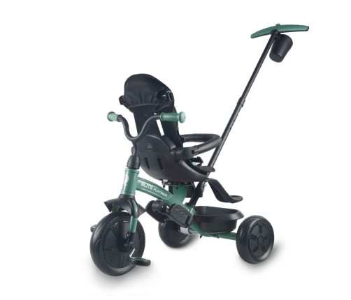 Qplay Rowerek Trójkołowy Elite Platinum Green