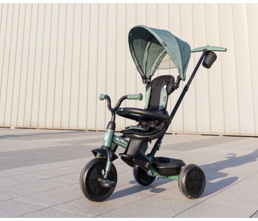 Qplay Rowerek Trójkołowy Elite Platinum Green