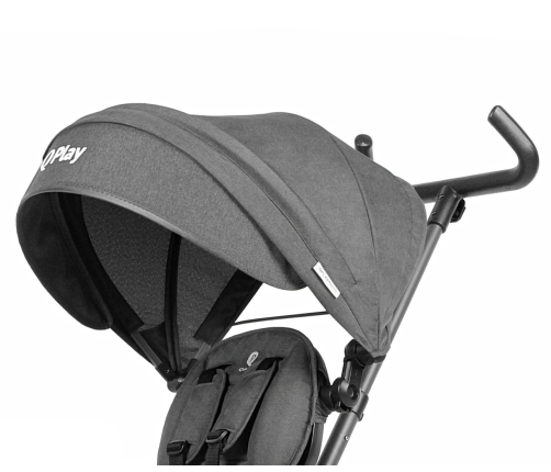 Детский трехколесный велосипед Qplay Rito Star Black