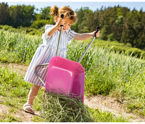 Rolly Toys 274802 Taczka Metalowa  rózowa