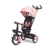 Трёхколёсный велосипед Twinkle Pink