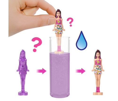 Barbie Mini BarbieLand Color Reveal Dolls Asst - Rainbow Groovy Series JCR08