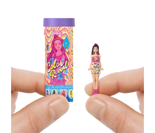 Barbie Mini BarbieLand Color Reveal Dolls Asst - Rainbow Groovy Series JCR08