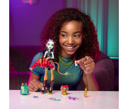 Monster High Core Doll - Jinafire HYV58