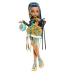 Monster High Scary Sweet Birthday - Cleo Doll JBG76