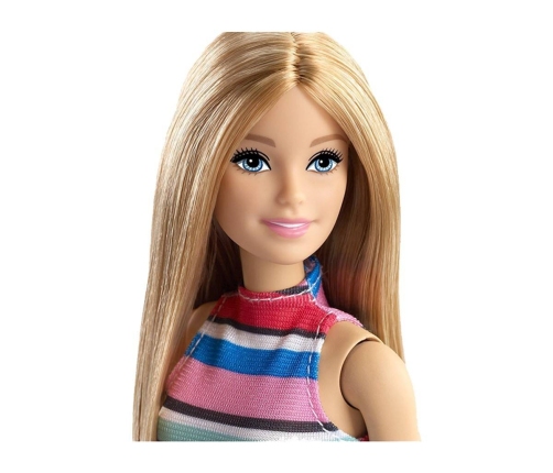 Barbie doll with 11 accessories FVJ42