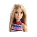 Barbie doll with 11 accessories FVJ42