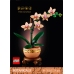 LEGO Botanicals Mała Orchidea 10343