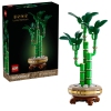 LEGO Botanicals Dracena Sandera 10344