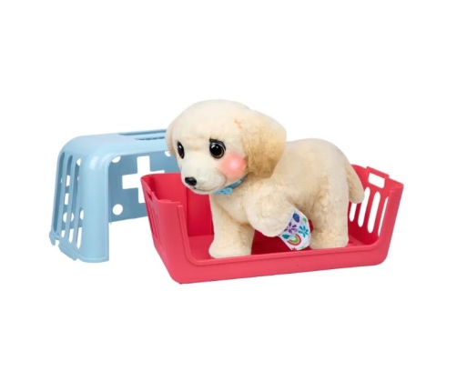Little Live Pets Ouchies Cooper Dog 26679