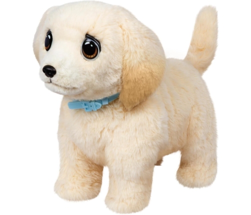 Little Live Pets Ouchies Cooper Dog 26679