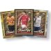 TOPPS Premier League Super Tin Nr 3 PL25-ST1011_C