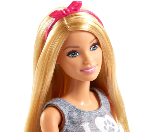 Barbie Doll & Pets кукла FPR48