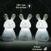 TRIO RABBIT LED NIGHT INDUCTION - WHITE