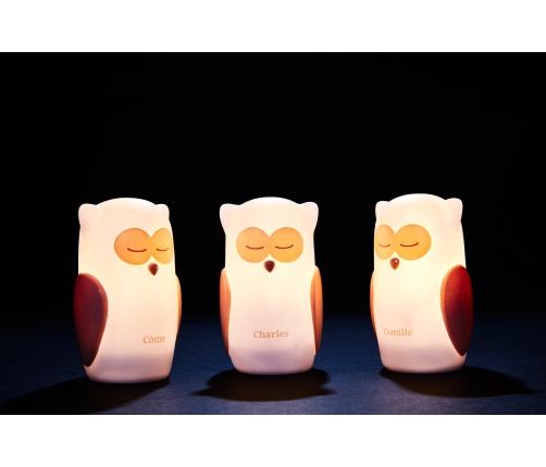 TRIO OWLS LED NIGHT INDUCTION - WHITE