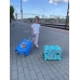 PAW PATROL SUITCASE TURKUOISE RIDE ON