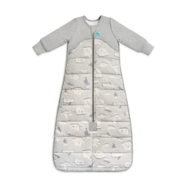 LOVE TO DREAM SLEEP BAG GREY 18-36M