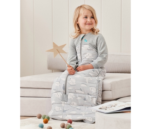 LOVE TO DREAM SLEEP BAG GREY 18-36M