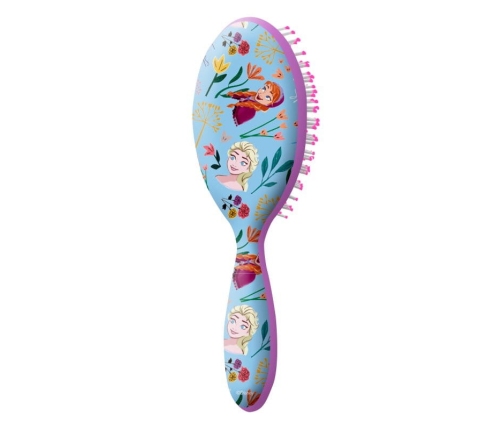 HAIRBRUSH ON DISPLAY 2 ASSORTED FROZEN